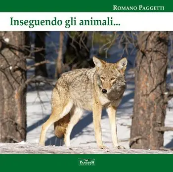 Subito Disponibile Inseguendo gli animali. Ediz. per la scuola