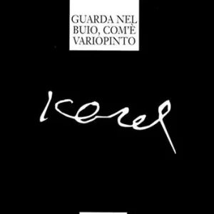Guarda nel buio, com‘è variopinto (testi dagli anni 1965-1995) Offerta Speciale