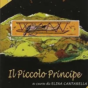 Pagamento Sicuro Il piccolo principe