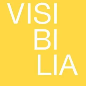 Visibilia. Come rendere visibile l‘invisibile. Ediz. italiana e inglese Offerta Speciale