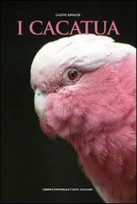 I cacatua Offerta