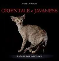 Orientale e javanese Consegna Rapida