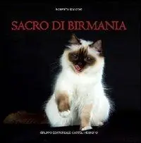 Ultime Pezzi Sacro di Birmania