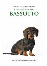 Bassotto Ultimissimo Modello