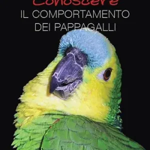 Offerta Conoscere il comportamento dei pappagalli