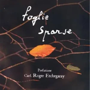 Foglie sparse Ultima Occasione