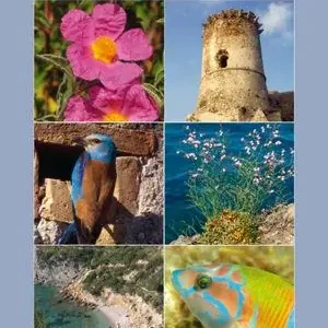 Monte Argentario e laguna di Orbetello. Aspetti storici, paesaggistici e naturalistici con itinerari Ordina Subito