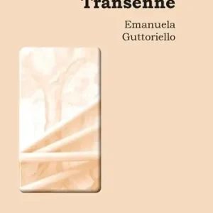 Transenne Consegna Rapida