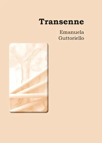 Transenne Consegna Rapida