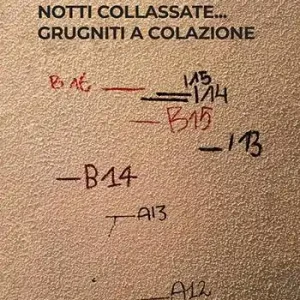 Notti collassate… grugniti a colazione! Ultime Pezzi