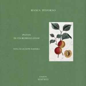 Piante di via Romolo Gessi Offerta Lampo