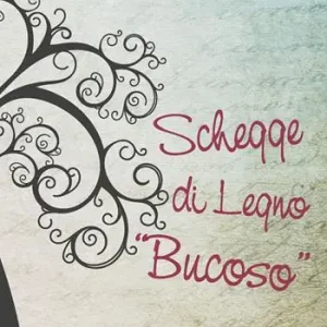 Quantità Limitata Schegge di legno bucoso
