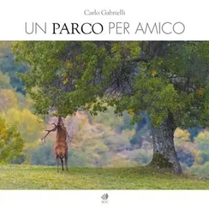 Un parco per amico A Buon Prezzo