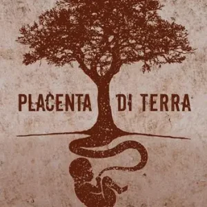 Placenta di terra Direttamente Dal Produttore