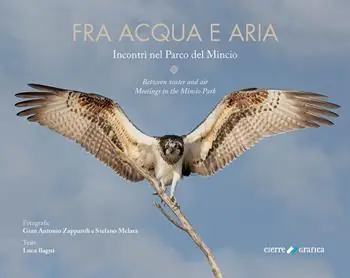 Fra acqua e aria. Incontri nel Parco del Mincio. Ediz. italiana e inglese Prezzo Conveniente