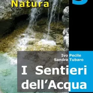 I sentieri dell‘acqua. 40 itinerari escursionistici alla scoperta delle acque della montagna friulana Più Venduto