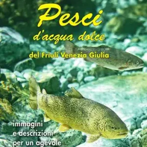 Occasione Pesci d‘acqua dolce del Friuli Venezia Giulia. Immagini e descrizioni per un agevole riconoscimento. Ediz. illustrata