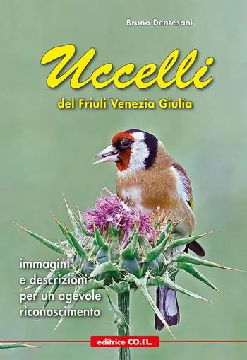 Ultimissimo Modello Uccelli del Friuli Venezia Giulia. Immagini e descrizioni per un agevole riconoscimento