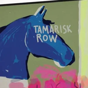 Tamarisk Row Solo Oggi
