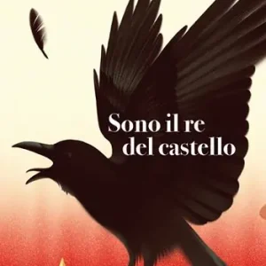 Spedizione Espresso Sono il re del castello
