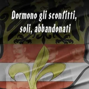Professionale Dormono gli sconfitti, soli, abbandonati. I soldati del territorio di Trieste nella prima guerra mondiale
