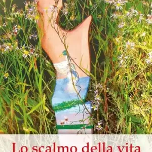 Lo scalmo della vita. Storia della famiglia Zane della laguna dorata di Venezia Super Prezzo