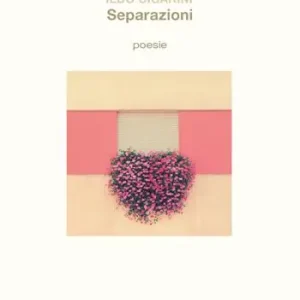 Separazioni Pagamento Sicuro