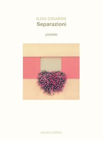 Separazioni Pagamento Sicuro