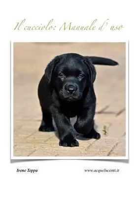 Il cucciolo manuale d‘uso Solo Oggi