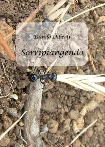 Sorripiangendo Offerta Limitata