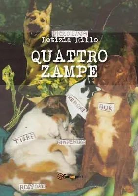 Quattro zampe Reso Gratuito