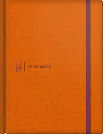 Promo Stagionale Agenda legale 2025. Ediz. mandarin orange. Con web app Agenda Legale Pro