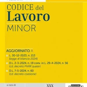 Codice del Lavoro. Ediz. minor Compra Oggi Stesso