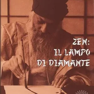 Zen. Il lampo di diamante Offerta