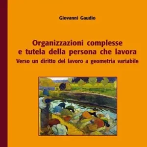 Organizzazioni complesse e tutela della persona che lavora. Verso un diritto del lavoro a geometria variabile Consegna Rapida