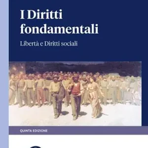 I diritti fondamentali. Libertà e diritti sociali Economico