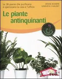 Le piante antinquinanti Prezzo Conveniente