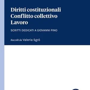 Più Venduto Diritti costituzionali, conflitto collettivo, lavoro. Scritti dedicati a Giovanni Pino