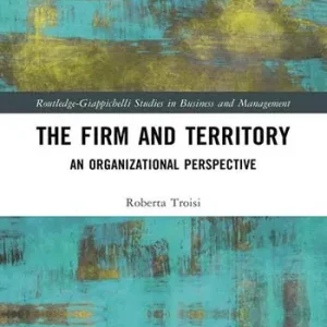 The firm and territory an organizational prospetive Acquista Ora