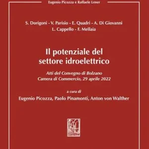 Il potenziale del settore idroelettrico. Atti del Convegno di Bolzano 29 aprile 2022 tenutosi presso la Camera di Commercio, Industria, Artigianato e Agricoltura di Bolzano Ultima Occasione