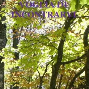Voglia di incontrarvi Bestseller