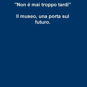 Non è mai troppo tardi. Il museo, una porta sul futuro Prezzo Di Fabbrica