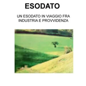 Esodato. Un esodato in viaggio fra industria e provvidenza Compra Oggi Stesso
