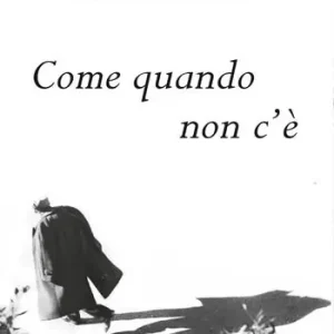Come quando non c‘è Professionale