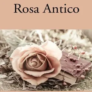 Rosa antico Economico