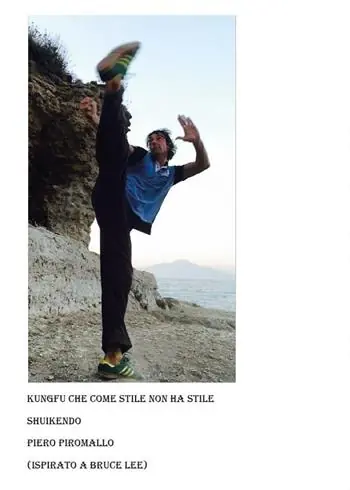 Kungfu che come stile non ha stile Shuikendo Occasione Imperdibile