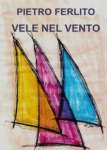 Occasione Vele nel vento