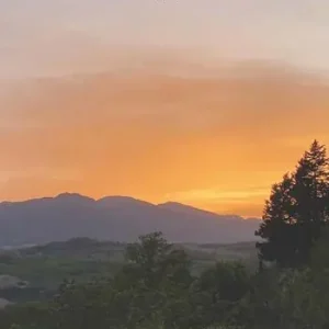 Più Venduto Se fossi in vaso io morirei