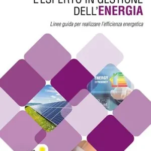 L‘esperto in gestione dell’energia. Linee guida per realizzare l’efficienza energetica Professionale