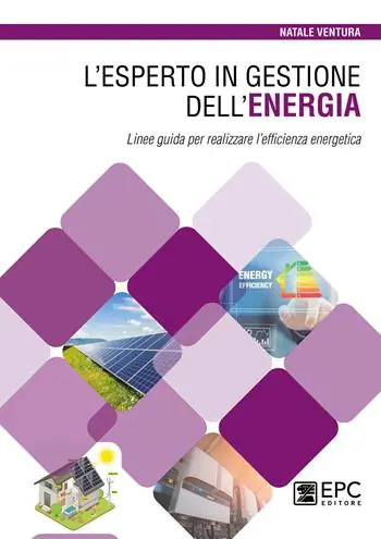 L‘esperto in gestione dell’energia. Linee guida per realizzare l’efficienza energetica Professionale